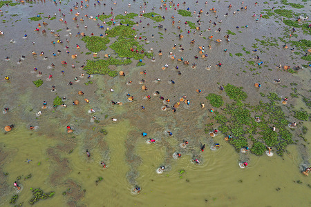 (EDITORS NOTE: Image taken with a drone.)
This aerial photograph shows people catching fishes using 'Polo', a traditional trap made of bamboo during 'Polo Bawa', a century-old traditional fishing festival in Bangladesh.