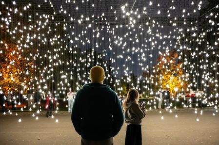 Visitors seen observing the light installation Scattered Light created by Amercian artist Jim Campbell. The Signal Festival is an annual festival of digital and creative culture that brings light installations and video mapping into the streets. The fourteenth edition of the Signal Festival takes place from October 15 to October 18 2026.