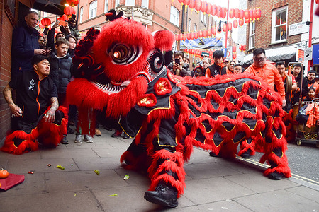 Traditional lion dancers bring good fortune to restaurants and shops in Chinatown as Chinese New Year, also known as Lunar New Year, celebrations take place in London. This year is the Year of the Horse.