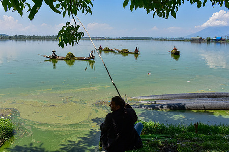 Kashmiri boatmen remove weed as a man fishes in the polluted Dal Lake on World Environment Day in Srinagar, the summer capital of Jammu and Kashmir.
