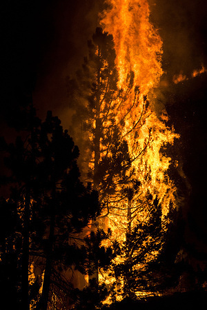 Devastating Caldor fire rages through silver lake as crews do all they can to push it back.
The Caldor fire has now burned through 212,987 acres of heavy timber and steep terrain. With over 4,400 personnel on scene to battle the blaze it is still only 29% contained.