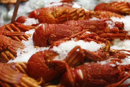 Lobsters are seen on display at Queen Victoria Market ahead of Christmas Eve. Shoppers crowd Queen Victoria Market in Melbourne as Christmas approaches, with strong demand at seafood stalls, including fish and prawns, ahead of Christmas Eve celebrations.