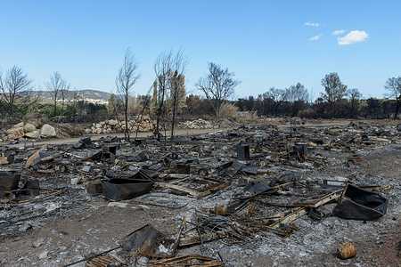 The damage of the fire seen at a nurseryman whose material and culture of olive trees have totally burned.The fire that started on August 17, 2021 in the Plaine des Maures (Var) burned more than 7,100 hectares of forest. Two people were found dead. The damage to economic activities is still being assessed.