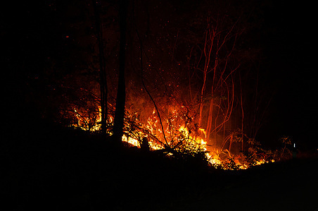 A wildfire rages along the roadside between Tak and Lampang provinces, Thailand. The dry season in Northern Thailand often leads to increased forest fires, contributing to regional haze and environmental concerns.