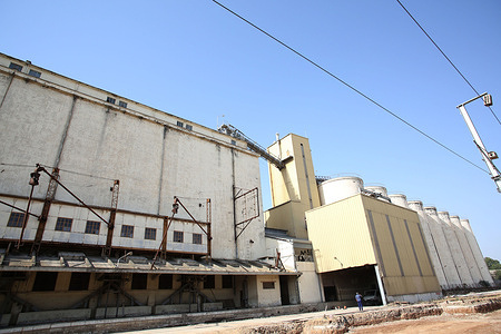 Grain silos seen at Manouba Governorate.
The cereal harvest in Tunisia stands at 16.4 million quintals this season, Tunis Afrique Presse (TAP / Official) said, citing the Tunisian agriculture ministry.
On the logistics side, 176 collection centers have been validated out of the 186 distributed throughout the country, and 7.9 million quintals of cereals collected.