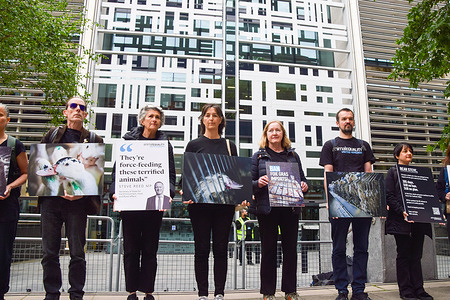 Campaigners from the animal rights group, Animal Equality, hold placards depicting birds in cages and quotes from Steve Reed during a protest. Protestors stage a demonstration on the first anniversary since Department for Environment Food and Rural Affairs (DEFRA) Secretary, Steve Reed publicly promised that Labour would ban imports of foie gras. Importing the food product, which is made from the livers of geese and ducks and which involves force-feeding the birds, is still permitted despite the promise to ban it.
