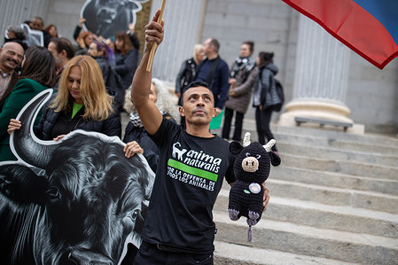 An activist carries a stuffed bull during a demonstration demanding the abolition of bullfighting by the International Anti-Bullfighting Network in front of the Congress of Deputies in Madrid.