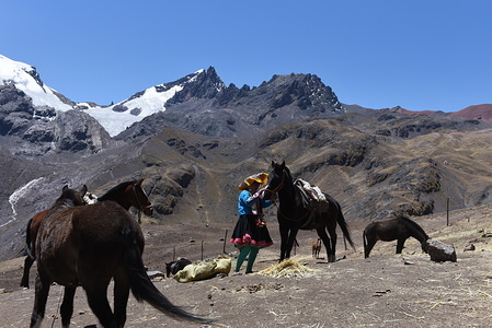 A villager is seen with her horses at the Siete Colores mountain.
Every day, dozens of inhabitants from nearby villages come with their horses and alpacas to the Vinicunca, also called Seven Colours, a mountain in Peru with an altitude of 5,036 meters above sea level, to help tourists on the ascent to the top. In the last decade, thanks to tourism, the villagers of these small communities have improved their living conditions.