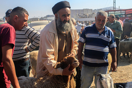 A Palestinian purchases a goat from a cattle market in preparation for Eid al-Adha in Nablus. Eid al-Adha or the Great Eid is one of the important holidays for Muslims and is associated with the slaughter of sheep and livestock.