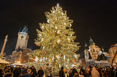 An illuminated Christmas tree is seen at the traditional Christmas market at Old Town Square in Prague.
