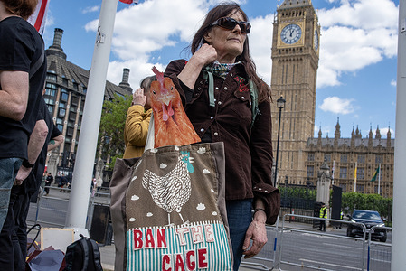 A protester stands with her protest bag during the demonstration front of the Big Ben. Activists gathered from the largest UK vegan campaigning charity called Viva! on the Parliament Square, London. Viva! is calling on the Government to ban the cages because 7.3 million hens kept in cages while the 40-45 million male chicks are gassed in 36 hours of hatching because they can not lay eggs.