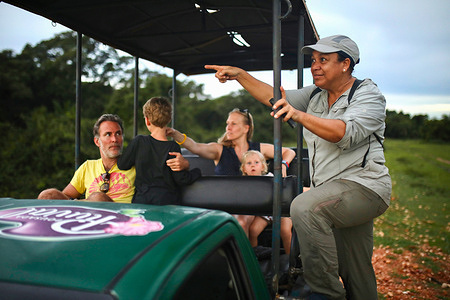 A tour guide shows a wild animal to a group of tourists in Piuval. Ecotourism promotes truce between jaguars and cattle breeders. The jaguar is one of the emblems of Pantanal, the world's largest tropical wetland. However, 90% of the region belongs to farmers who have set up cattle farms. Yet cohabitation between farmers and jaguars is difficult, as the jaguars attack their livestock. But over the past fifteen years, the boom in eco-tourism and jaguar-watching safaris has provided a solution to the problem. The jaguar tourist economy is said to bring in up to 56 times more than the financial losses inflicted on breeders.