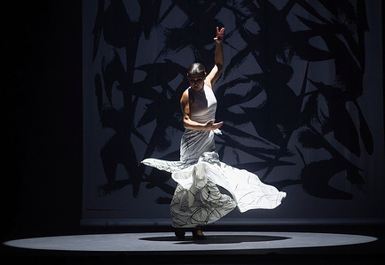 Spanish flamenco dancer Sara Baras, dances on the stage during her new performance 'Vuela', at Cervantes Theatre in Malaga. Renowned Spanish flamenco dancer Sara Baras celebrates the 25th anniversary of her company dance with a new performance 'Vuela' (Fly), a tribute to Spanish guitarist Paco de Lucia. The choreography, created by Sara Baras, is divided into four acts ('Madera' (Wood), 'Mar' (Sea), 'Muerte' (Death), and 'Volar' (Fly)) and has as its main narrative the use of words and movement on stage.