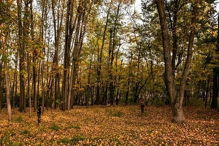 Kashmiri nomad boys play cricket in a field during an autumn season on the outskirts of Srinagar, the summer capital of Jammu and Kashmir.