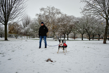 A dog looks attentively at the camera while walking under the snow during the Fien snowstrorm in Navarra.