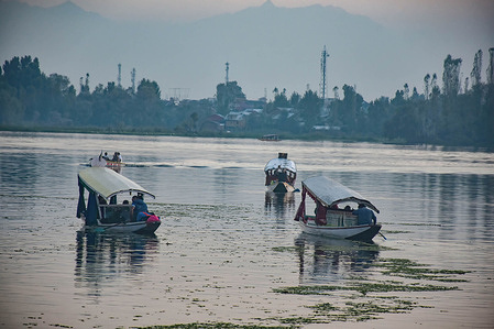 Kashmiri boatmen transport Indian tourists across the Nigeen lake during sunset in Srinagar, the summer capital of Jammu and Kashmir.