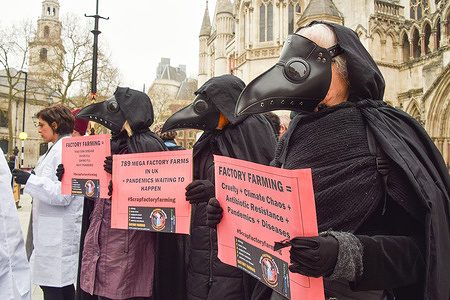 Activists wearing costumes hold anti- factory farming placards during the protest.
Animal rights activists gathered outside the Royal Courts of Justice in protest against factory farming, as the Scrap Factory Farming group launched its legal challenge against the Department for Environment, Food and Rural Affairs (DEFRA) for failing to take adequate precautions against the known pandemic risks of factory farming.