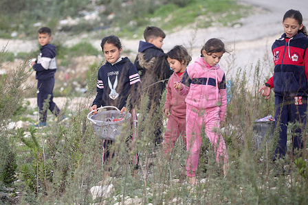 Palestinian children collect empty cola cans near the Jewish settlement of Homesh, not visible in the photo, in the northern West Bank, near the city of Nablus. Homesh was connected to the Israeli national electricity grid with the approval of the Israeli government. Jewish settlers in the West Bank rebuilt Homesh, one of four settlements in the northern West Bank evacuated in 2005 as part of the "disengagement" plan.