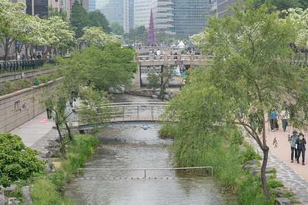 A view of Cheonggyecheon stream.