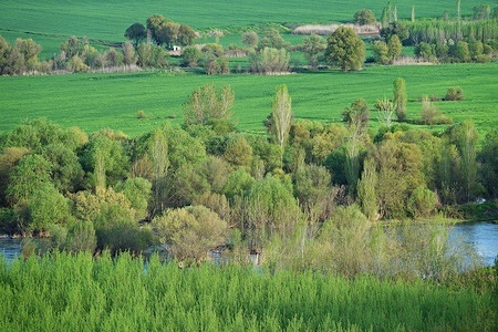 The Tigris river passing through the Hevsel gardens of the World Cultural Heritage in Diyarbakir. In the Hevsel gardens, a World Cultural Heritage Site in the city of Diyarbakir, it is possible to see every shade of green these days when spring comes. About 200 different bird species and many animals live in the gardens, which are spread over an area between the Tigris River and the Diyarbakir castle. Hevsel gardens were included in the World Cultural Heritage List by UNESCO in 2015.