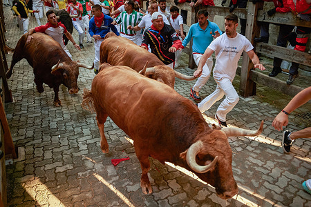 Young men run in front of bulls during the running of the bulls at the San Fermín 2024 festivities. During the Bull Run in the San Fermín festivital, six bulls from the Domingo Hernández Martín bull ranch in Salamanca, Spain, return to Pamplona for the second time. The bulls ran for 2 minutes and 13 seconds until they arrived at the Pamplona Bullring.