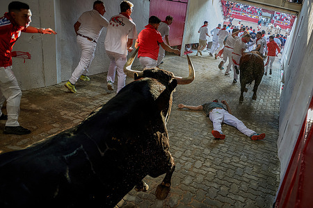 A runner has fallen to the ground in front of a bull from the Cebada Gago ranch during the second bull run at the San Fermín 2024 festivities.