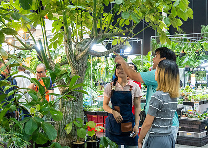 A customer points to a part of a tree while speaking with a seller at the Baanlaesuan Fair Midyear 2026 at BITEC. Baanlaesuan Fair (House & Garden Fair) Midyear 2026 is a home-and-living fair centered around the concept of “Happiness at Home,” held at BITEC. The event aims to create happiness and inspire people to make their homes more enjoyable throughout life.