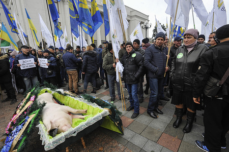 Ukrainian farmers gather near a dead pig lying in a coffin, symbolising the country's agriculture during the protest against land sale reform.
