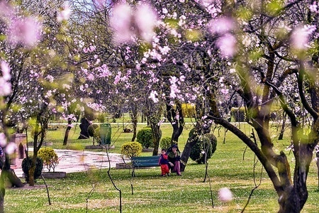Mother and son sitting on a bench inside the Badamwaer (Almond garden ) on a sunny spring day in Srinagar.
Spring has arrived in Indian-administered Kashmir, which marks a thawing of the lean season for tourism in the Himalayan region.