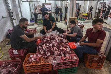 Palestinians sort the meat of slaughtered livestock for distribution during Eid al-Adha, the Muslim holiday that commemorates the willingness of the Prophet Abraham (Ibrahim to Christians and Jews) to sacrifice his son. During the holiday which lasts approximately four days, Muslims slaughter sheep or cattle distribute part of the meat to the poor and eat the rest.