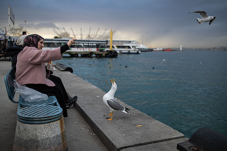 A woman seen feeding a seagull while sitting on a bench on the Kadikoy coast.