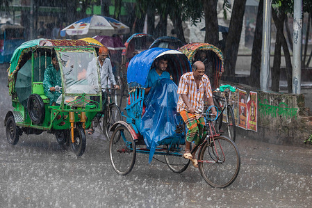 Rickshaw pullers seen riding with passengers along the street during a rainy day. The monsoon downpour made travel go slow in Dhaka.