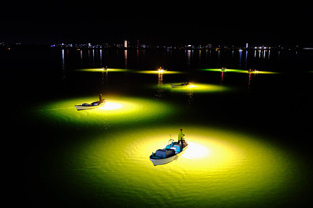 Fishermen are flocking to the mouth of the Yoshino River in Tokushima Prefecture as the season for catching glass eels, or juvenile eels, reaches its peak. Before dawn, small boats and larger fishing vessels equipped with bright gathering lights quietly gathered on the water. Red, blue, yellow, and green lights ripple across the river’s surface, evoking a constellation against the winter darkness. Glass eels measure about five centimeters long and are drawn from the sea into the river by the lights, then scooped up in nets. Known as “white diamonds” for their high market value, these tiny eels are a prized catch in Japan’s lucrative eel trade.