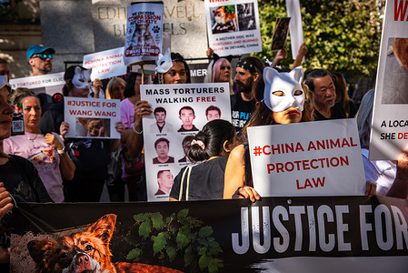Protestors seen holding placards and a large banner during the "Act Now to End Animal Cruelty Demonstration in China" near Trafalgar Square. It was a Peaceful awareness demonstration against animal cruelty.