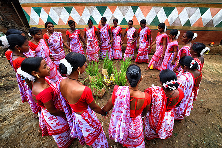 Tribal women seen dancing in a group during the celebration of Karam festival. Karam Puja, one of the most popular harvest festivals, is a celebration dedicated to the Karam tree. This tree symbolizes fertility, prosperity, and all things auspicious. During the festival, Karma dancers carry a branch of the Karam tree while singing and dancing.