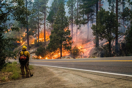 A firefighter monitors the Caldor fire as it burns by the highway.The Caldor fire has grown to over 122,000 acres and threatens to grow to the Tahoe basin.