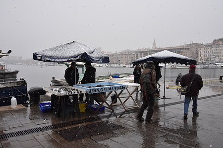 Fishermen sell their fish at the Vieux-Port of Marseille during winter season.
Some snowflakes fell on the 
Phocaea City.