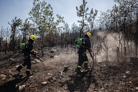 Firefighters use blowers to prevent new fires in the hills near Rence. A large forest fire broke out in the hills of the Karst region of Slovenia as the country suffers from drought and high temperatures. The fire burned the hills for two days. Over 400 firemen fought the blaze with air support from the Slovenian army helicopters, a police helicopter, Italian helicopters and a Croatian Canadair firefighting aircraft.