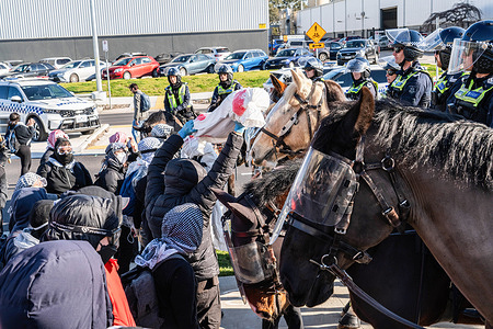 A protester holds up a fake dead body in front of Mounted Police officers during the demonstration. Pro-Palestine protesters gathered outside A.W. Bell in Dandenong South, Melbourne, a company that manufactures parts for Israel. The demonstration lasted nearly five hours and ended after police issued a move-on order. Workers at A.W. Bell were able to start their shift after police created a barrier between them and the protesters.