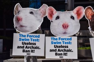 SOPA Images - Gallery - PETA protest against forced swim tests on mice ...