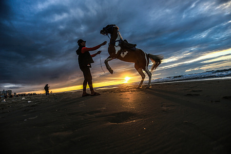 A Palestinian man plays with a horse on the seashore west of Gaza City during rainy weather.