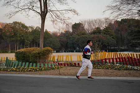 A man jogs along a tree-lined path, with a colorful fence and winter flowers adding vibrancy to the scene. The National Bureau of Statistics of China released data on January 19th, showing that by the end of 2025, the total population of China was 1.40489 billion, with 7.92 million births and 11.31 million deaths throughout the year, representing a year-on-year decrease of 3.39 million in the total population.