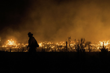 A firefighter walks past flames from the Dixie Fire in California.The Dixie Fire has reached highway 395, as of today, Cal Fire reports that the Dixie Fire has now grown to a total of 604,511 acres (around 944 square miles). It remains 31 percent contained. The cause of the fire is still being investigated.