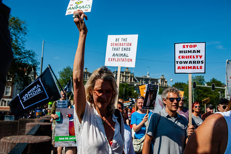 Activists hold placards during the demonstration.
This is the second time that the Animal Rights March has taken place in the Netherlands. Thousands of animal lovers gathered in Amsterdam to stand up and speak out against all forms in which animals are used, abused and exploited.