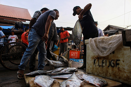 Traders display various types of fish in the traditional markets of Lhokseumawe City. The Indonesian government raised its fisheries target in 2018 by 9.45 million tons from the previous year's target of only 7.8 million tons.