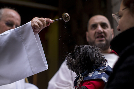 A priest blesses a dog, during the blessing of pets at the Church of San Anton in Madrid, on the feast day of Saint Anthony Abbot, protector of animals.