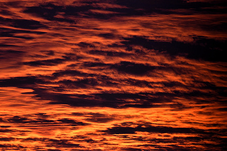 Clouds are illuminated by the orange light of a sunset.