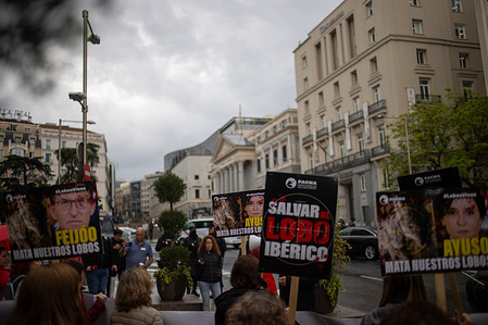 A group of animal rights activists hold placards during a demonstration. The animal rights party PACMA has called for a rally in defense of the Iberian wolf in front of the Congress of Deputies in Madrid.