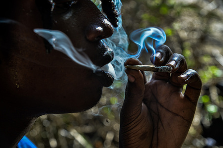 An adherent of Rastafari sect smokes a joint at Menengai forest in Bahati near Nakuru Town. Calls to legalize marijuana for medical and recreational use are growing in Kenya. George Wajackoyah, one of the defeated presidential contenders in last year’s general election had promised to legalize marijuana growing for export and local use should he have won the presidency.
