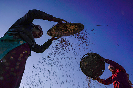 Nepalese farmers winnow rice grains during the harvest season on the outskirts of Kathmandu. World Food Day has been observed annually on the 16th of October with the theme Leave No One Behind to millions of people worldwide who cannot afford a healthy diet and are in need of nutritious food.